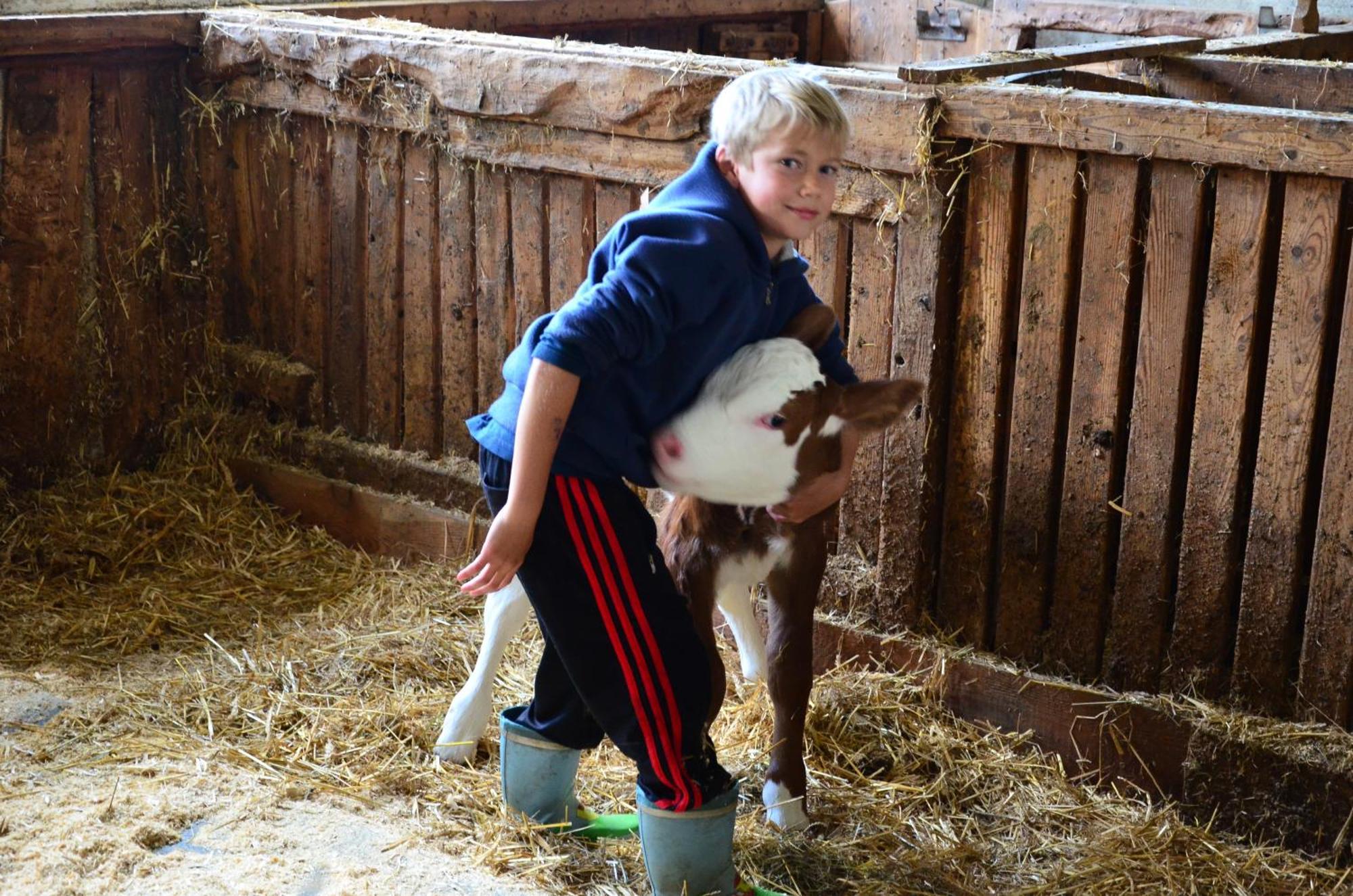 Ferienwohnung Bachergut Mariapfarr Zimmer foto