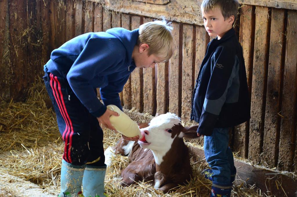 Ferienwohnung Bachergut Mariapfarr Zimmer foto