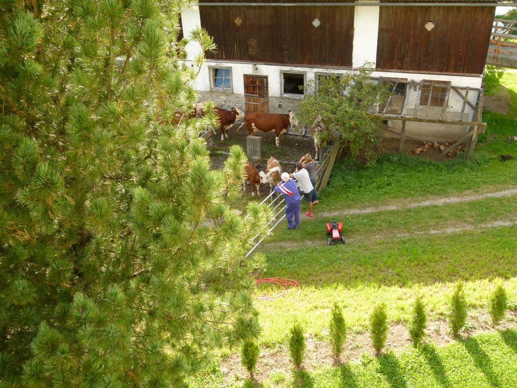 Ferienwohnung Bachergut Mariapfarr Zimmer foto